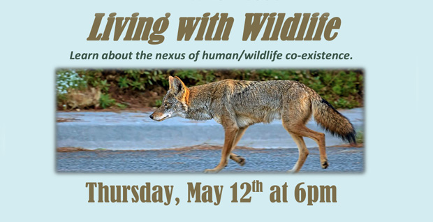 Living with wildlife - Learn about the nexus of human/wildlife co-existence