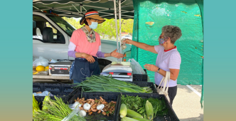 County of Ventura Celebrates National Certified Farmers’ Market Week